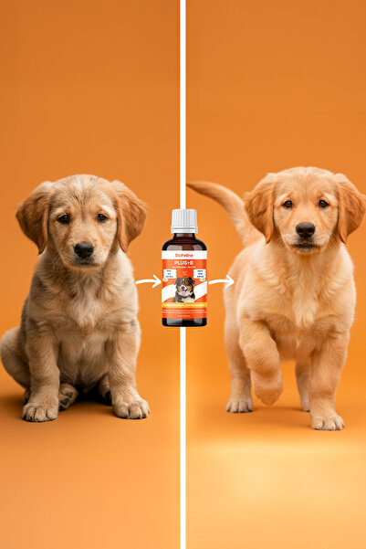 BioFeline Plus-B Damla – Köpekler için Biotin & Çinko ile Tüy Dökülmesini Azaltıcı Multivitamin 50 ml