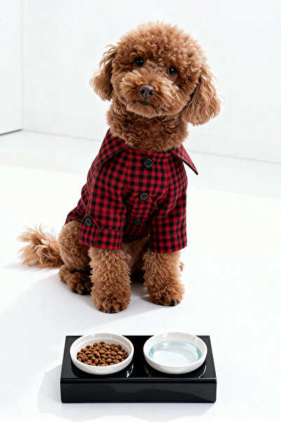 TRENDYOLMİLLA HOME Pet 2-Piece Ceramic Plexi Stand Cat and Dog Food Water Bowl Tphaw26Ms00000