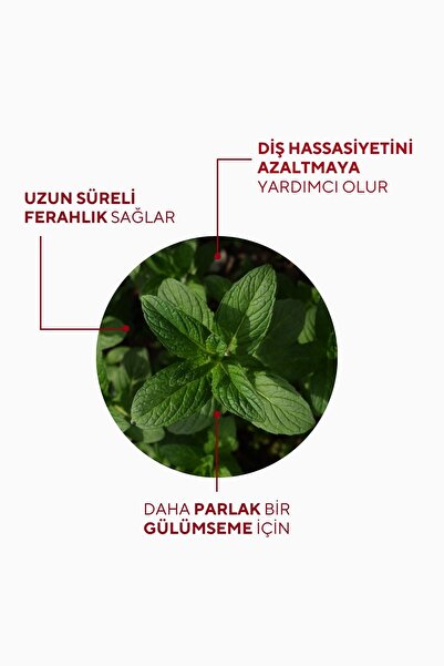 The Ceel Hassas Dişler İçin Koruyucu Diş Macunu 75 ml