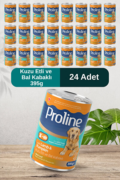 Pro Line Kuzu Etli ve Bal Kabaklı Pate İçinde Yetişkin Köpek Konservesi 395g x 24 Adet