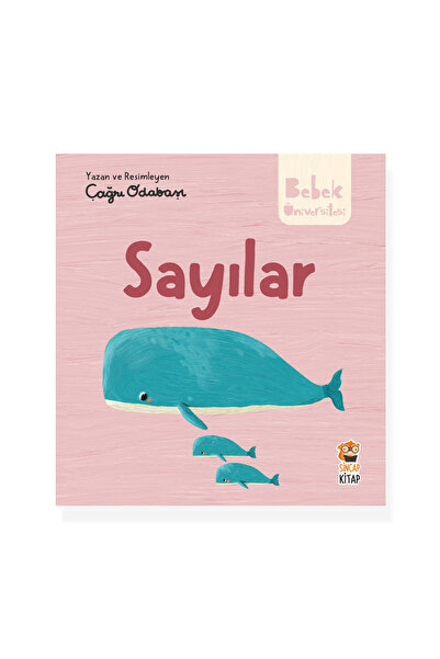 Sincap Kitap Hikayeli İlk Kavramlarım - Sayılar