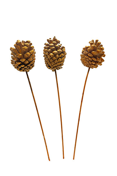 Waldern 3-piece pinecone ornament gold new year's ornament