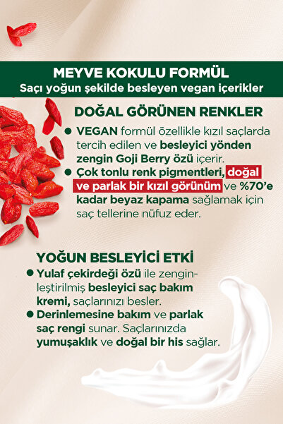 Palette Kalıcı Doğal Renkler  6-88 Ateş Kızılı Goji Berry Özü Saç Boyası