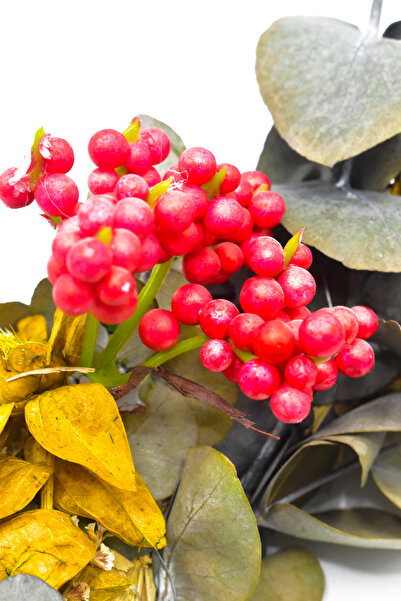 Waldern Christmas Door Ornament Door Wreath Natural Door Ornament Christmas Decoration