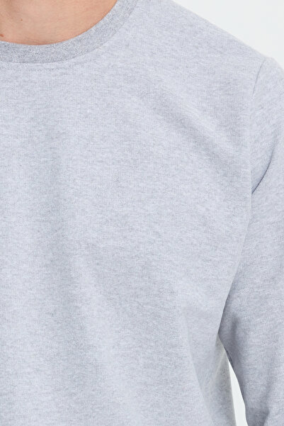 Tudors Men's relax fit cotton 2 thread soft texture crew neck grey tracksuit set