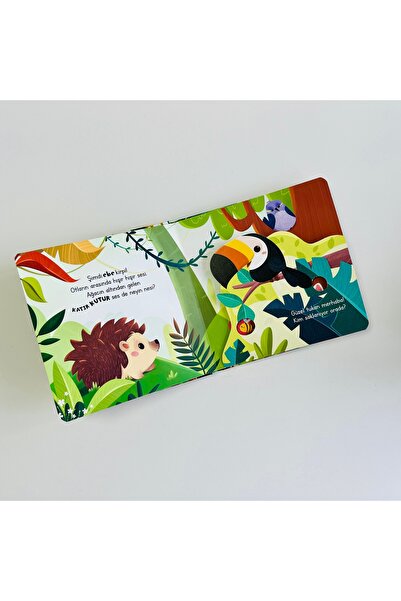 Sincap Kitap Bul Beni Ormanda Saklambaç | Pencereli Kitap, Dikkat ve İnce Motor Gelişimi 0-3 Yaş