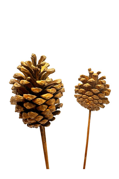 Waldern 3-piece pinecone ornament gold new year's ornament
