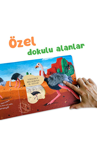 Sincap Kitap İlk Dokun Hisset Kitabım Çöle Dokun | Dokun-Hisset, Duyusal Gelişim ve Dikkat 0-3 Yaş