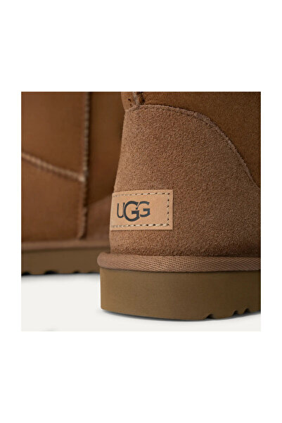 UGG Ugg Γυναικείες Μπότες1016223-κάστανο