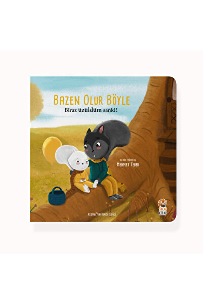 Sincap Kitap Bazen Olur Böyle Biraz Üzüldüm Sanki
