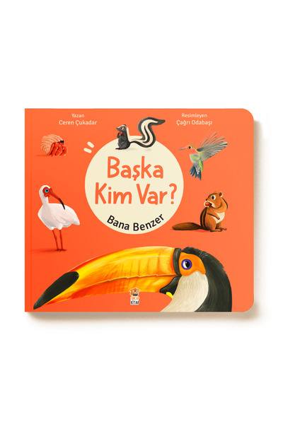 Sincap Kitap Bana Benzer - Başka Kim Var