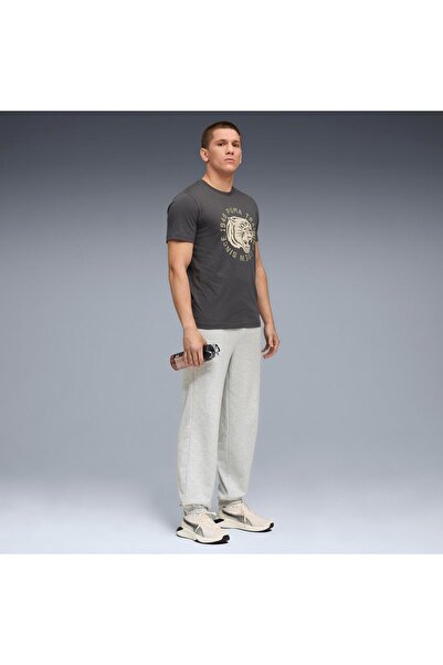 Puma Illustrated graphic tee men's t-shirt