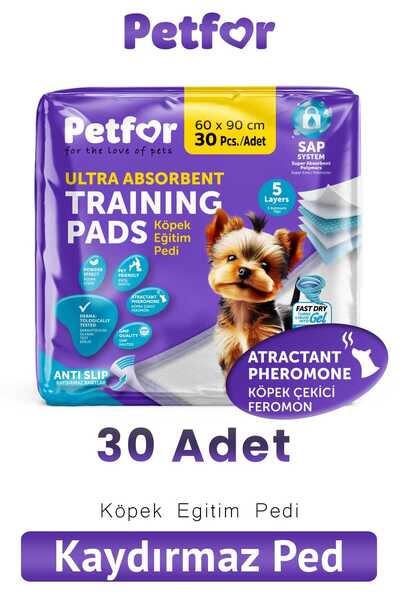 Petfor Köpek Eğitim Pedi 60x90 Kaydırmaz Bantlı 30 Adetli