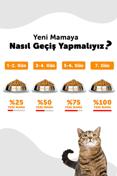 LaVital Kısırlaştırılmış Kuru Kedi Maması (Sterilised Adult) Kuzu Etli 12 KG