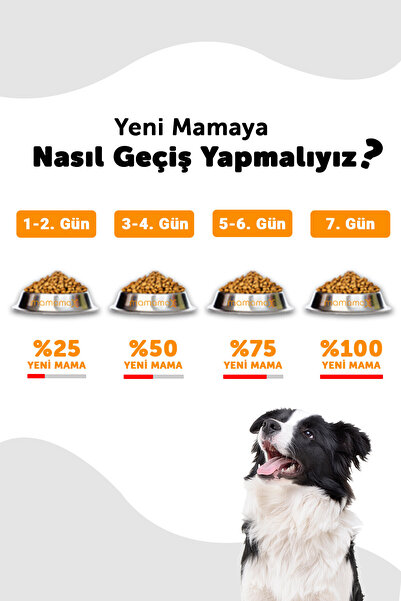 LaVital Büyük Irk Yetişkin Kuru Köpek Maması (Maxi Adult) Somonlu 15 KG