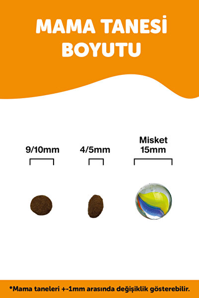 LaVital Kısırlaştırılmış Kuru Kedi Maması (Sterilised Adult) Kuzu Etli 12 KG