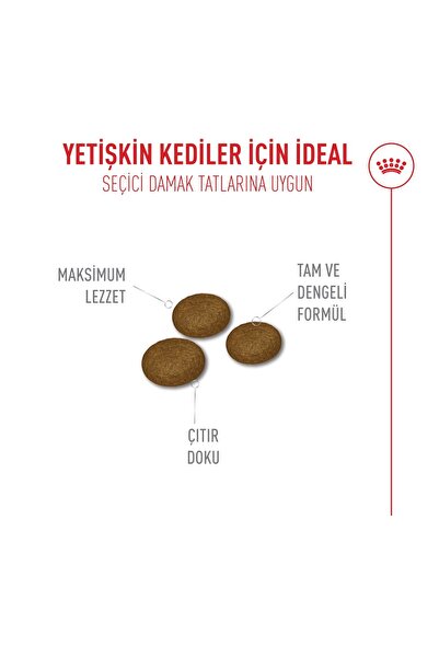 Royal Canin Fussy Exigent Seçici Kediler Için Kuru Kedi Maması 4kg