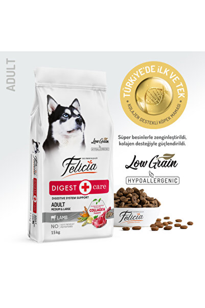 Felicia Aztahıllı Kuzulu M/large Breed Hypoallergenic Yetişkin Köpek Maması 1...