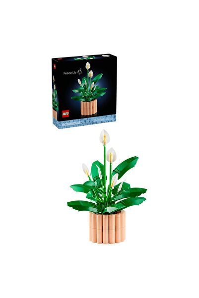 LEGO ® Botanicals Barış Çiçeği 11504 - Yetişkinler için Dekoratif Model Yapım...