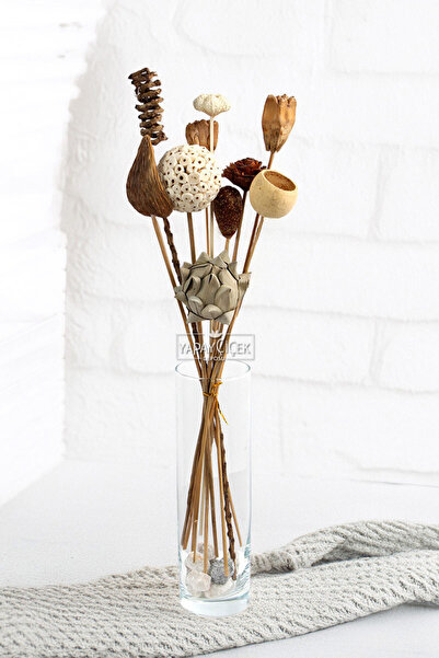 Yapay Çiçek Deposu كرنفال الزهور الجافة من مجموعة ناتشورال تروبيكال 10 فروع 4...