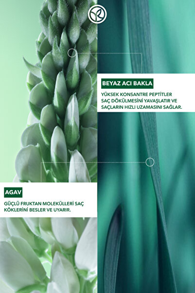 Yves Rocher Güçlendirici Prebiyotik Şampuan-Saç Dökülmesine Karşı/Anti-Chute-SLS,SLES içermez,Vegan-300ml