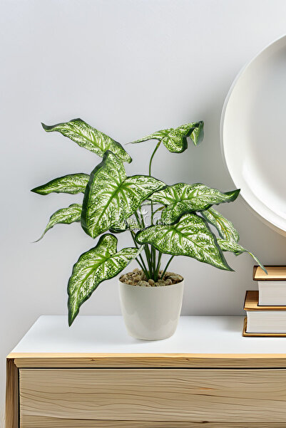 Yapay Çiçek Deposu نبات اصطناعي أبيض أزرق بلون الكوبالت ıda ذو 12 ورقة أخضر أ...