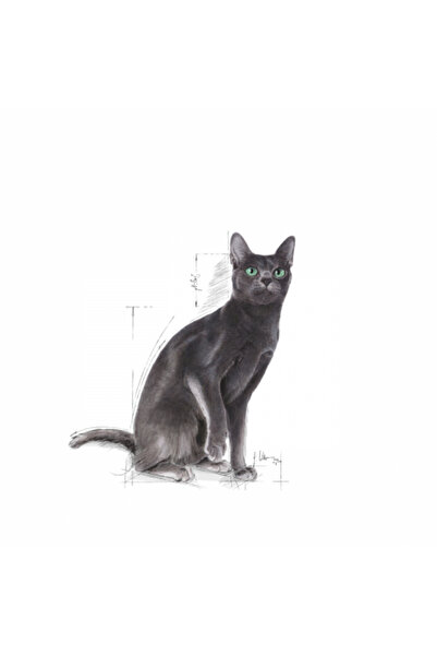 Royal Canin Sterilised37 Kısırlaştırılmış Yetişkin Kedi Maması 4 Kg