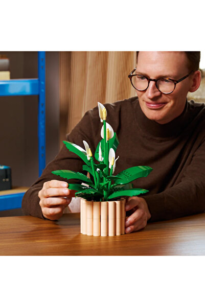LEGO ® Botanicals Barış Çiçeği 11504 - Yetişkinler için Dekoratif Model Yapım Seti (474 Parça)