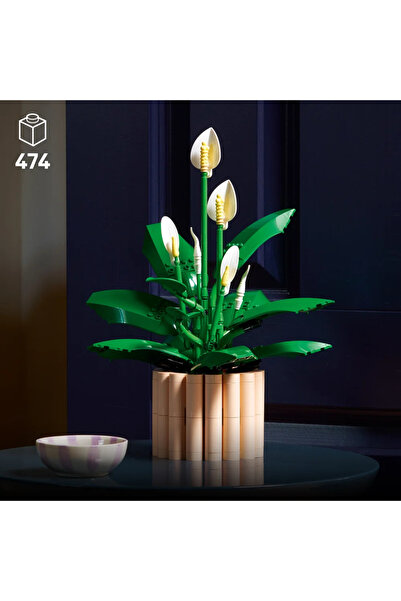 LEGO ® Botanicals Barış Çiçeği 11504 - Yetişkinler için Dekoratif Model Yapım Seti (474 Parça)