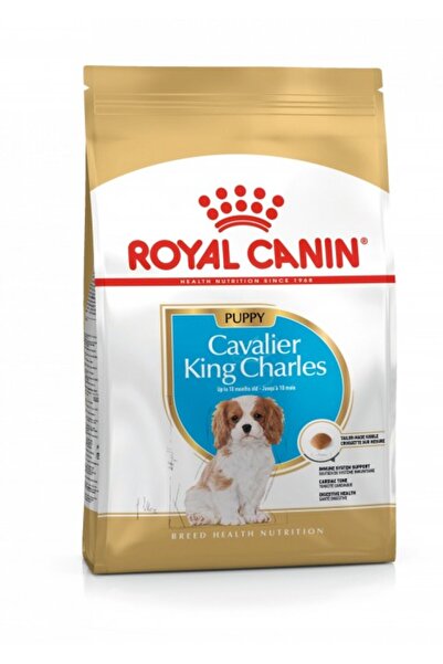 Royal Canin Cavalier King Charles Puppy Yavru Köpek Kuru Maması 1,5 Kg