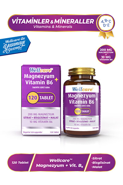 Wellcare Magnezyum Vitamin B6 200/10MG 120 Tablet