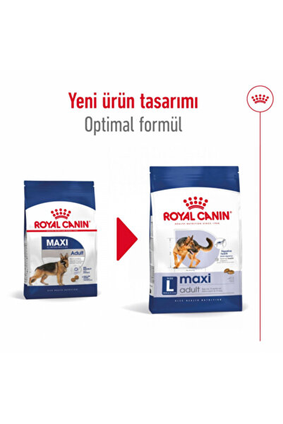 Royal Canin Maxi Adult Büyük Irklar Için Yetişkin Kuru Köpek Maması 15 Kg