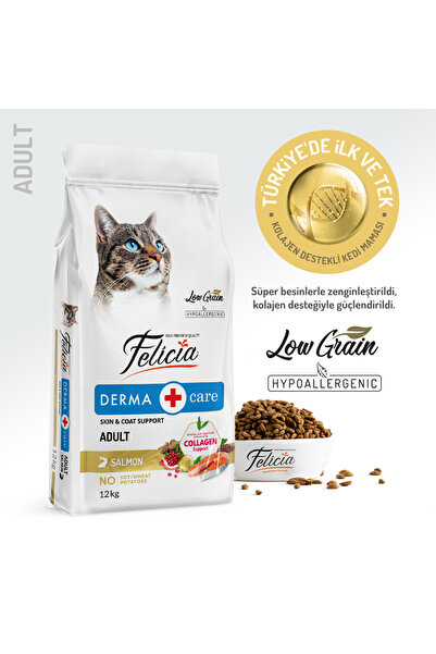 Felicia 12 Kg Somonlu Yetişkin Kedi Maması.