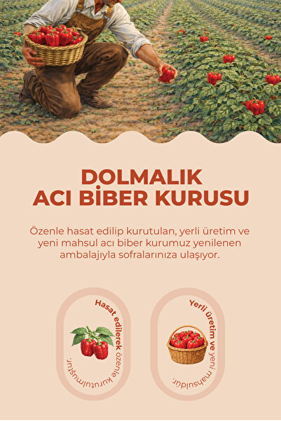 Antep Pazarı Dolmalık Acı Biber Kurusu - 23-25 Adet