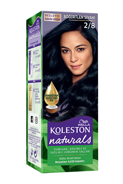 Wella Koleston Naturals 2/8 Böğürtlen Siyah Saç Boyası