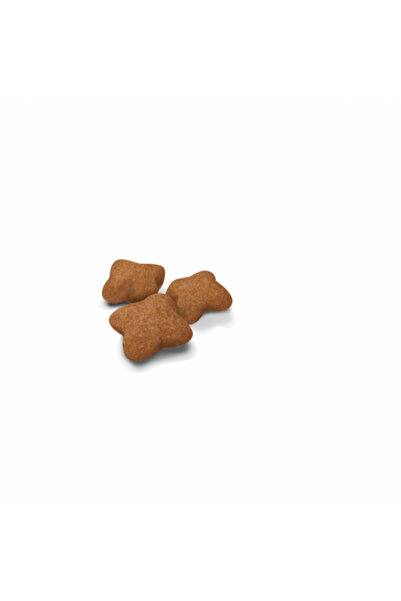 Royal Canin Sterilised Kısırlaştırılmış Yavru Kediler Için Kuru Kedi Maması 2kg