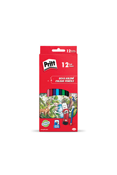 Pritt 12 قلم طلاء جاف