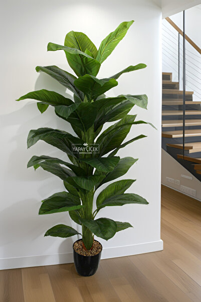 Yapay Çiçek Deposu Yapay Ağaç Yoğun Yapraklı Premium Difenbahya 165 cm Koyu Y...