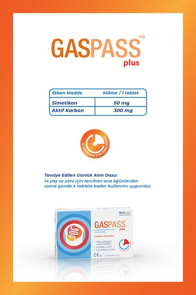 Wellcare Gaspass Plus 20 Tablet