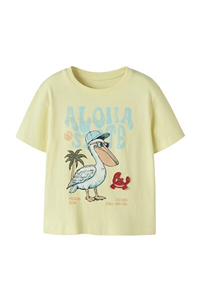 Name it NMMFYMZ SS NREG TOP BOX