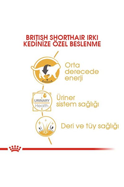 Royal Canin British Shorthair Yaş Kedi Maması 12 Adet x 85 gr