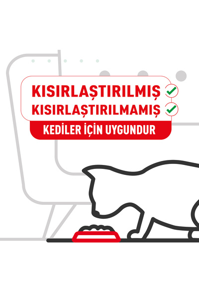 Royal Canin Sensible 33 Hassas Sindirim Sistemi Destekleyici Yetişkin Kedi Maması 400 Gr