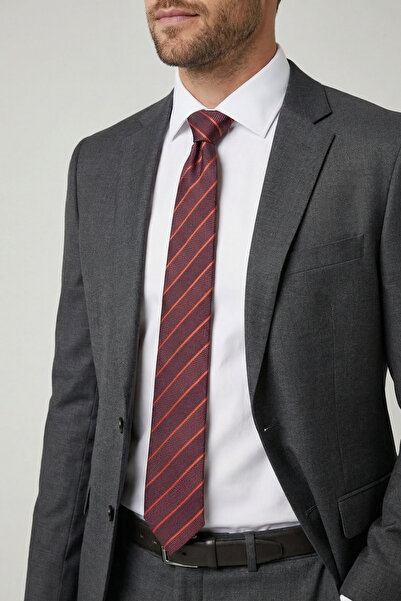 Tudors Patterned Classic Men's Tie with Pocket Handkerchief