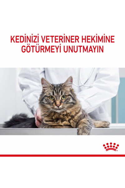 Royal Canin Hair&skin Tüy Ve Deri Sağlığı Için Kuru Kedi Maması 10 Kg