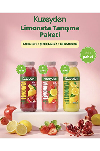 KUZEYDEN Limonata Tanışma Paketi | 6x250ml | İlave şeker, katkı ve koruyucu m...