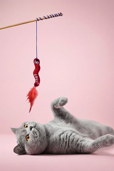 Generic Brand Toys Worm (Fishing Line) Plush Cat Toy (Contains Matatabi)