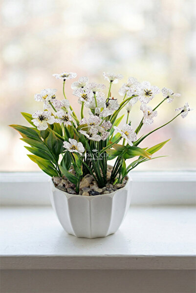 Yapay Çiçek Deposu Ζαφείρι με φλέβες σε λευκή γλάστρα 28 εκ. Λευκό