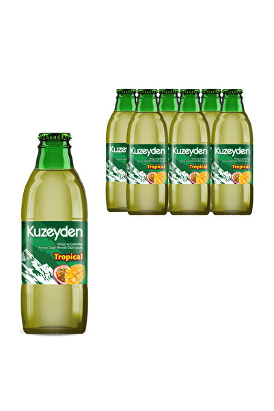 KUZEYDEN Tropical Doğal Mineralli Gazlı İçecek | Mango , Çarkıfelek Meyvesi |...