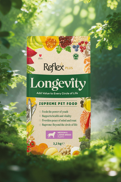 Reflex Plus Longevity Orta ve Büyük Irk Yavru Köpek Maması 3200g