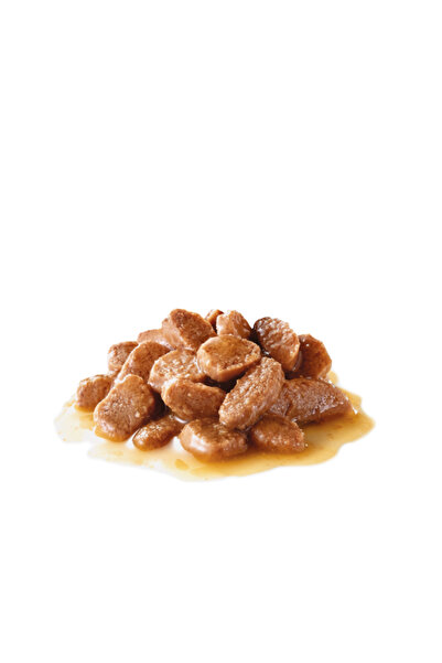 Royal Canin İnstinctive Gravy Pouch Yetişkin Kedi Konservesi 85 Gr